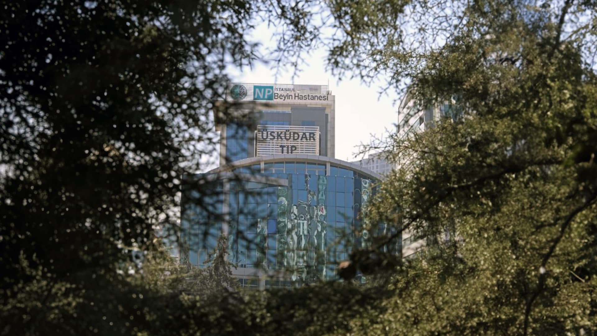 MEDICINE CAMPUS image